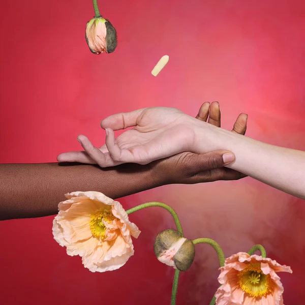 Elevate Your Most Intimate Moments