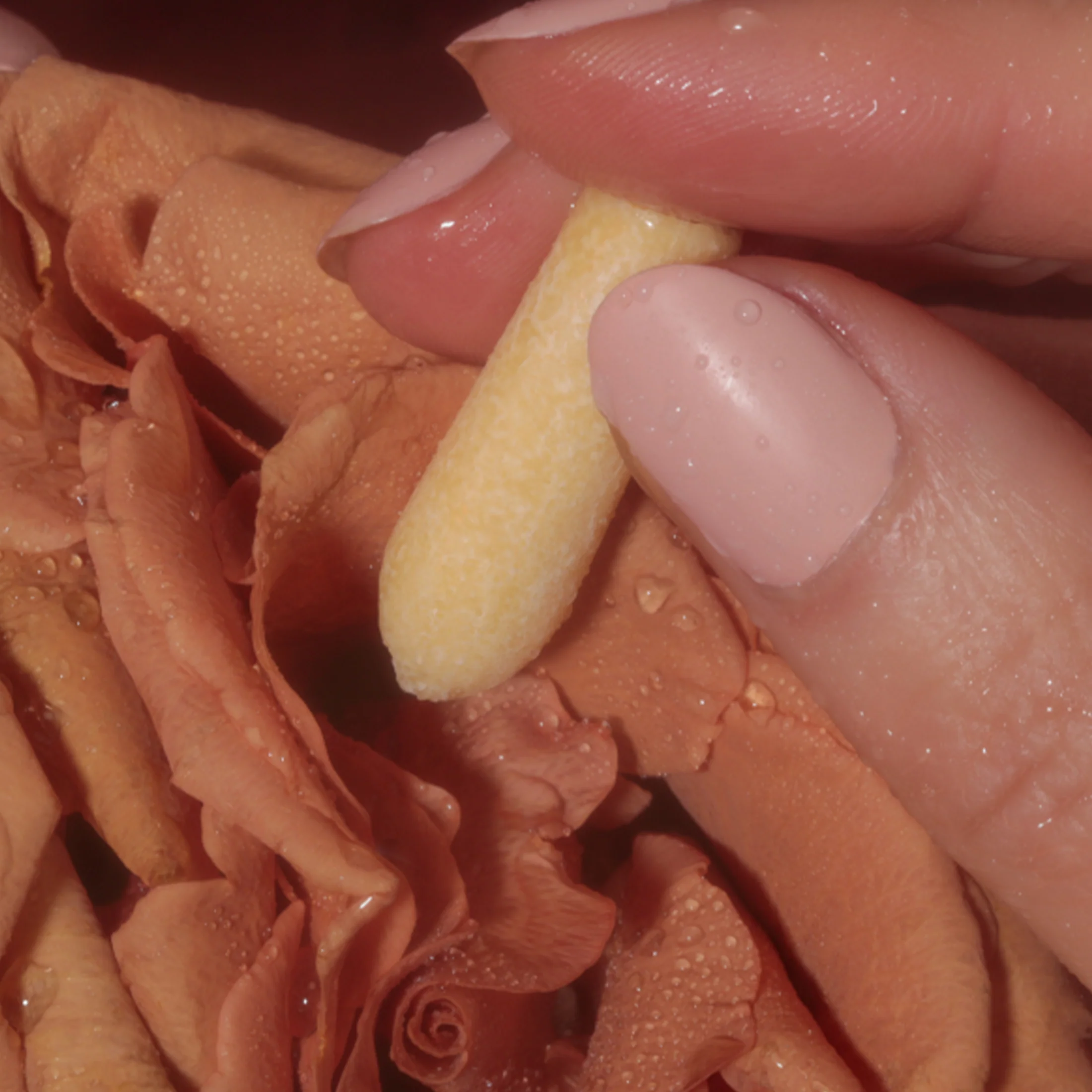 Awaken & Intimacy Melts Set - Image 6